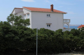 Apartment Povljana 224b